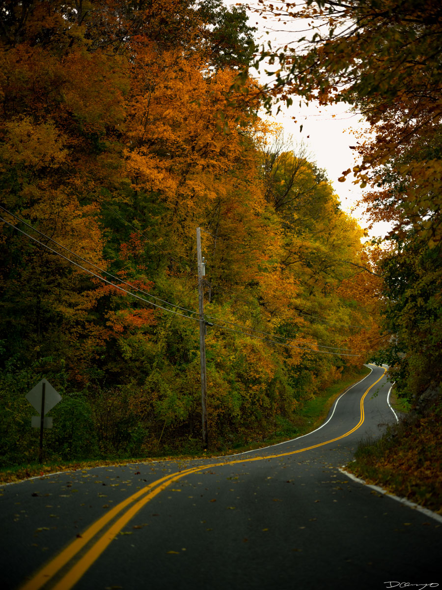 Fall colors on a winding road in Great Barrington Massachussets in Fall of 2022.